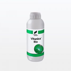 Vitanica_Bio