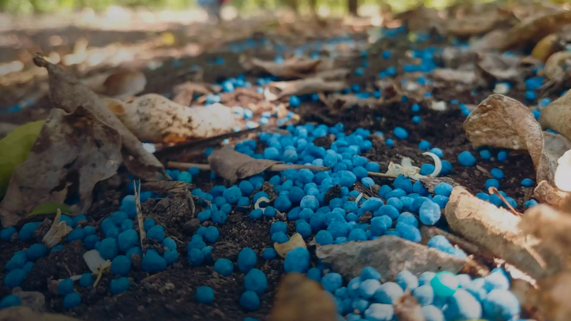 Fertilizante bolitas azules Blaukorn