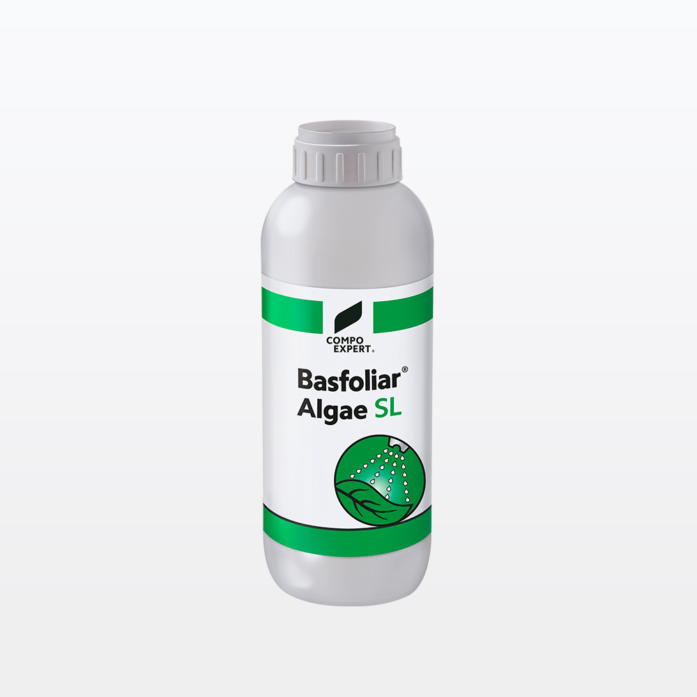 Basfoliar_Algae Basfoliar® Algae Foliar Bioestimulante