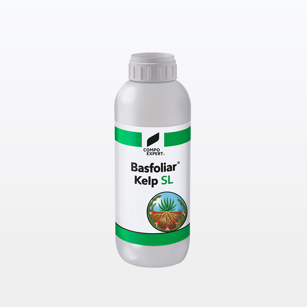 Basfoliar_Kelp Basfoliar_Kelp