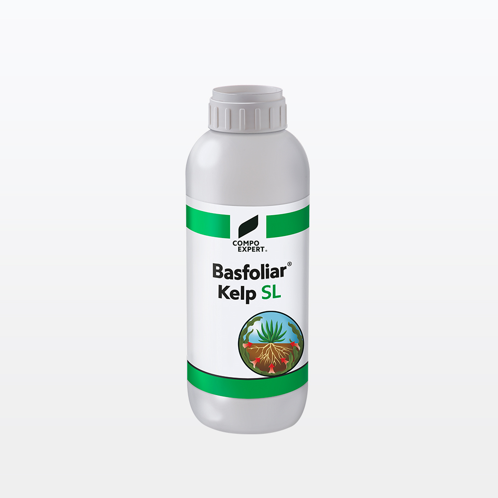 Basfoliar_Kelp Basfoliar_Kelp
