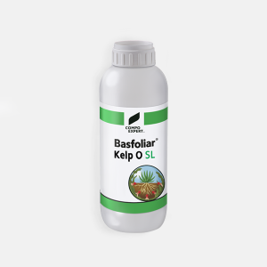 Basfoliar Kelp O SL Bioestimulante de COMPO EXPERT